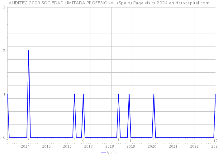 AUDITEC 2009 SOCIEDAD LIMITADA PROFESIONAL (Spain) Page visits 2024 