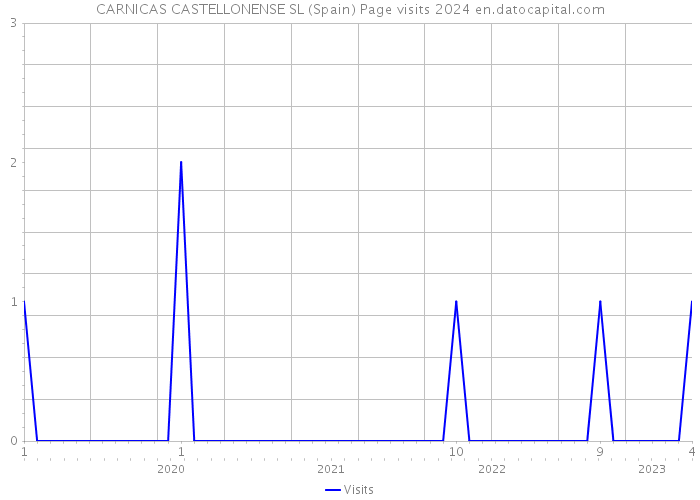 CARNICAS CASTELLONENSE SL (Spain) Page visits 2024 