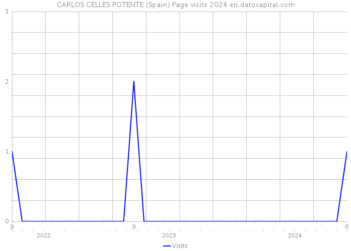 CARLOS CELLES POTENTE (Spain) Page visits 2024 