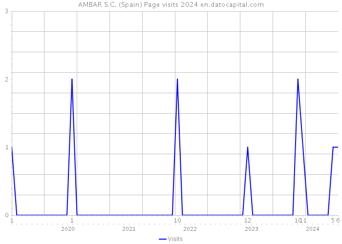 AMBAR S.C. (Spain) Page visits 2024 
