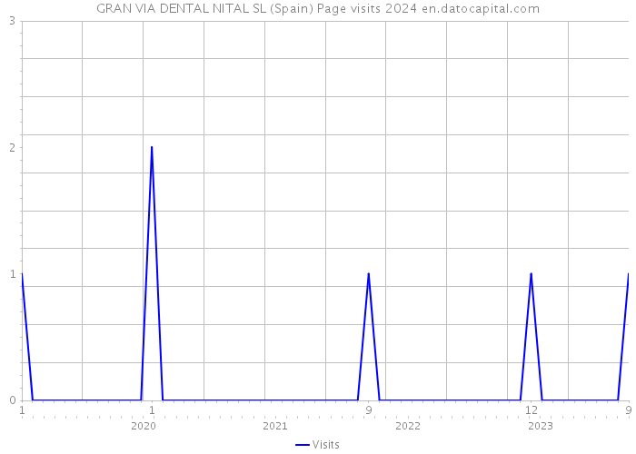 GRAN VIA DENTAL NITAL SL (Spain) Page visits 2024 