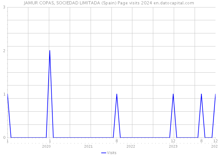 JAMUR COPAS, SOCIEDAD LIMITADA (Spain) Page visits 2024 