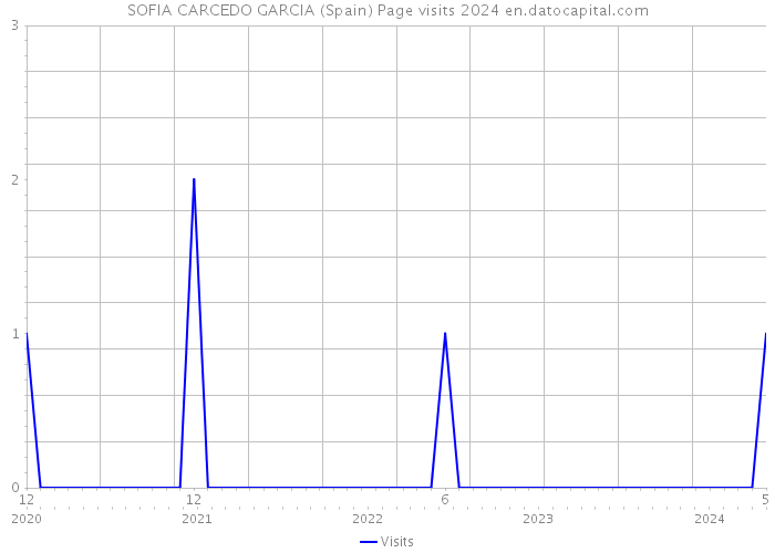 SOFIA CARCEDO GARCIA (Spain) Page visits 2024 