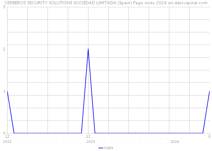 CERBEROS SECURITY SOLUTIONS SOCIEDAD LIMITADA (Spain) Page visits 2024 