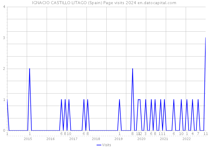 IGNACIO CASTILLO LITAGO (Spain) Page visits 2024 
