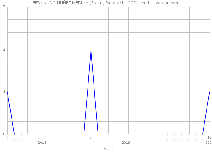 FERNANDO NUÑEZ MEDINA (Spain) Page visits 2024 