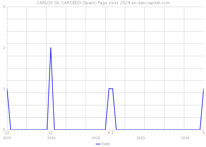 CARLOS GIL CARCEDO (Spain) Page visits 2024 