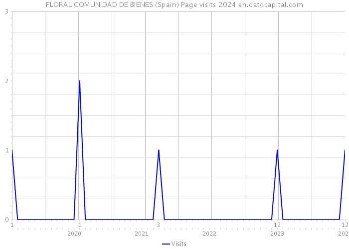 FLORAL COMUNIDAD DE BIENES (Spain) Page visits 2024 