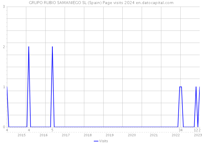 GRUPO RUBIO SAMANIEGO SL (Spain) Page visits 2024 