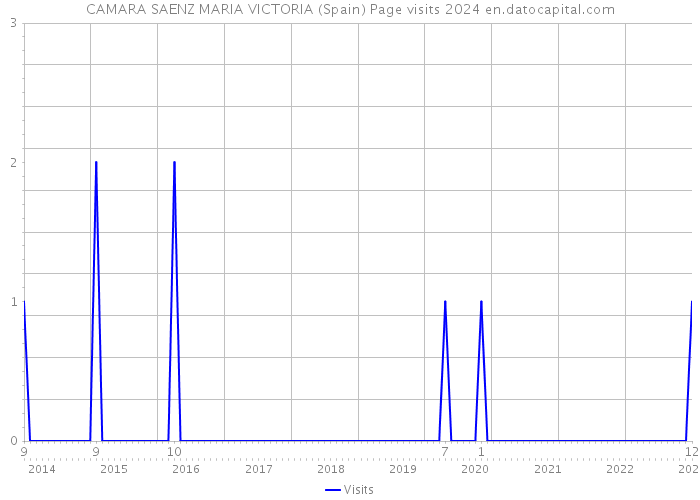 CAMARA SAENZ MARIA VICTORIA (Spain) Page visits 2024 