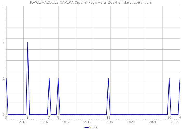 JORGE VAZQUEZ CAPERA (Spain) Page visits 2024 