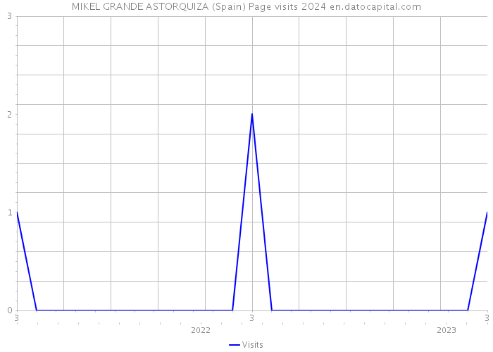 MIKEL GRANDE ASTORQUIZA (Spain) Page visits 2024 