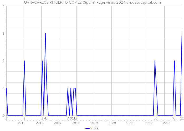 JUAN-CARLOS RITUERTO GOMEZ (Spain) Page visits 2024 