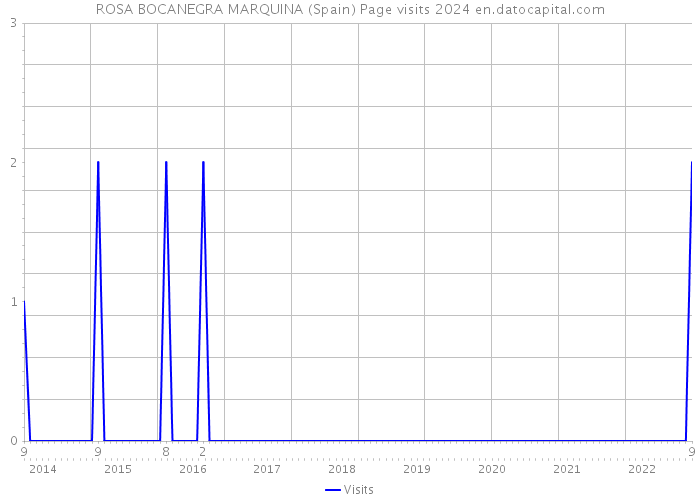 ROSA BOCANEGRA MARQUINA (Spain) Page visits 2024 