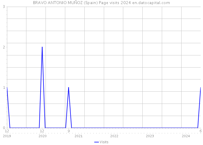 BRAVO ANTONIO MUÑOZ (Spain) Page visits 2024 