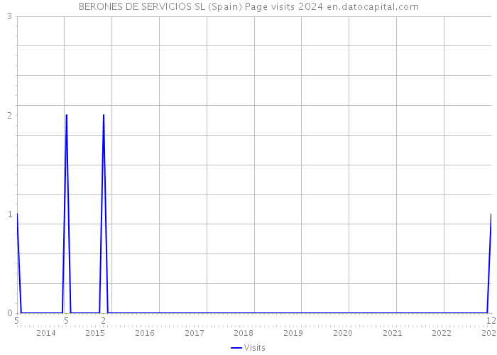 BERONES DE SERVICIOS SL (Spain) Page visits 2024 