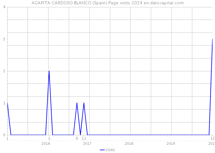 AGAPITA CARDOSO BLANCO (Spain) Page visits 2024 