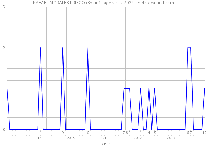 RAFAEL MORALES PRIEGO (Spain) Page visits 2024 