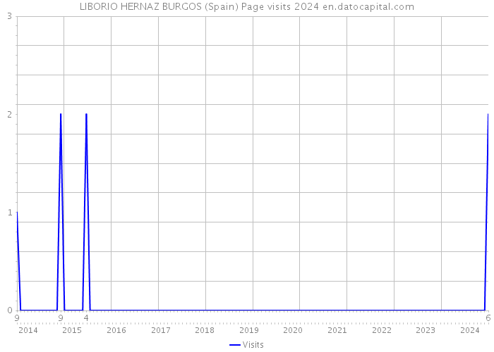 LIBORIO HERNAZ BURGOS (Spain) Page visits 2024 