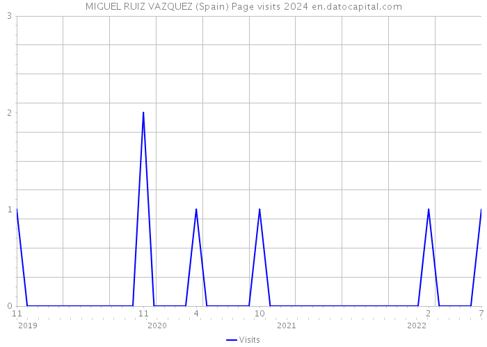 MIGUEL RUIZ VAZQUEZ (Spain) Page visits 2024 