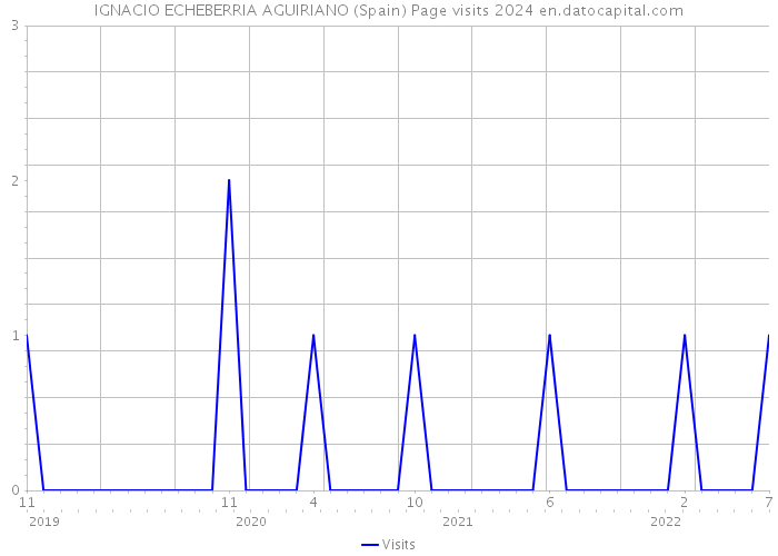 IGNACIO ECHEBERRIA AGUIRIANO (Spain) Page visits 2024 