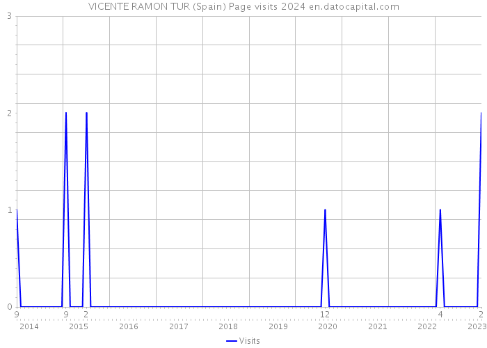 VICENTE RAMON TUR (Spain) Page visits 2024 