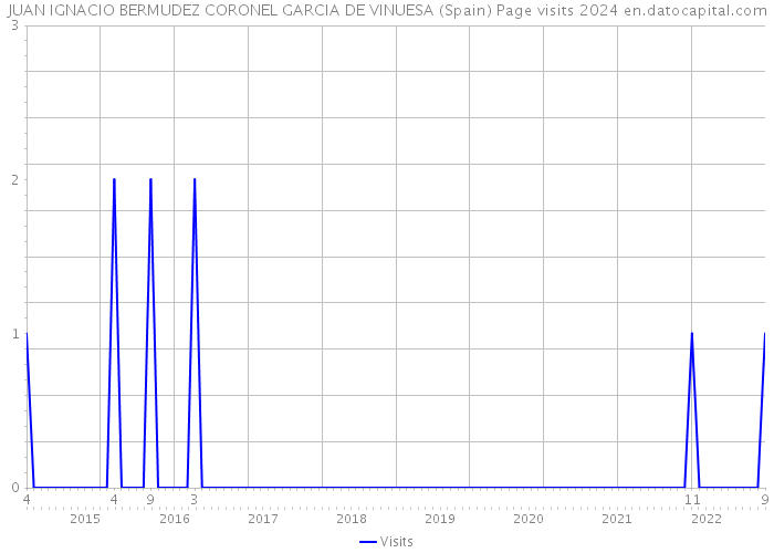 JUAN IGNACIO BERMUDEZ CORONEL GARCIA DE VINUESA (Spain) Page visits 2024 