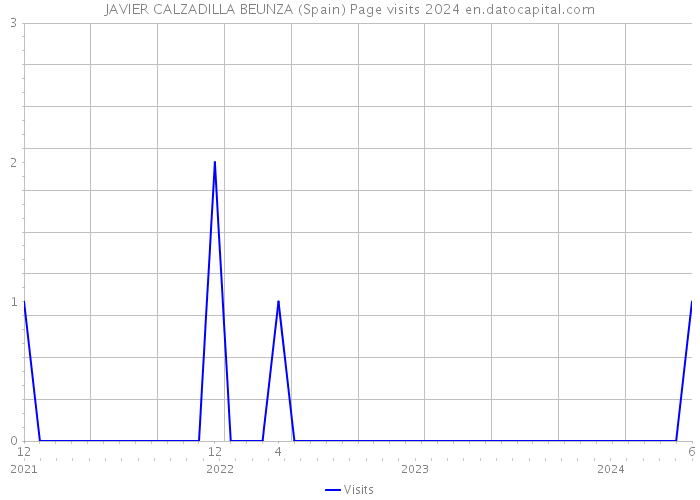 JAVIER CALZADILLA BEUNZA (Spain) Page visits 2024 