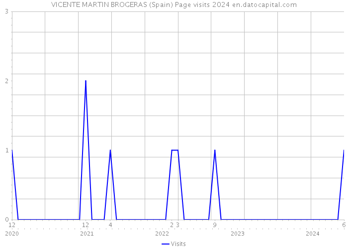 VICENTE MARTIN BROGERAS (Spain) Page visits 2024 