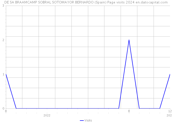 DE SA BRAAMCAMP SOBRAL SOTOMAYOR BERNARDO (Spain) Page visits 2024 