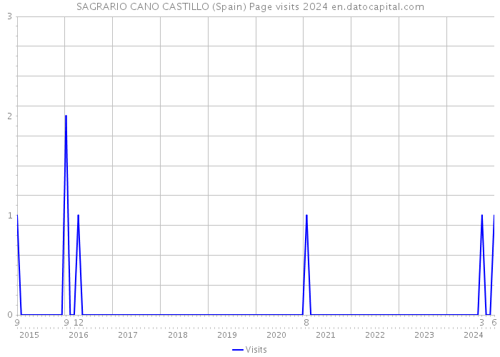 SAGRARIO CANO CASTILLO (Spain) Page visits 2024 