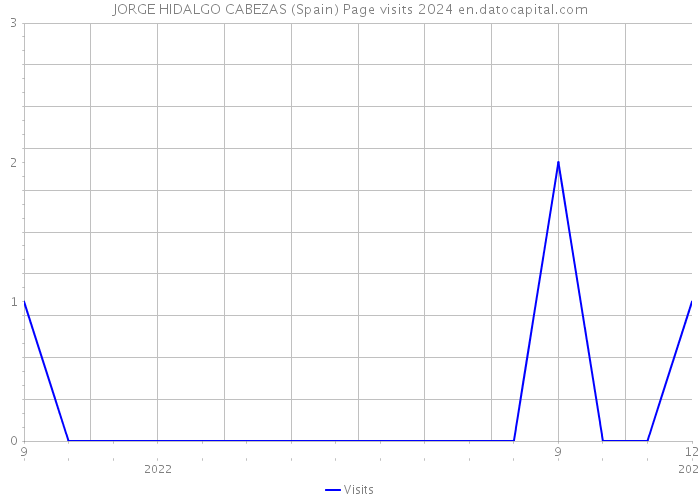 JORGE HIDALGO CABEZAS (Spain) Page visits 2024 