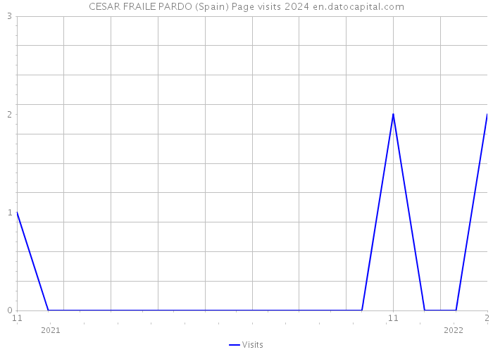 CESAR FRAILE PARDO (Spain) Page visits 2024 