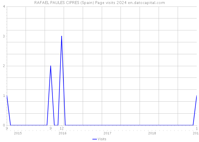 RAFAEL PAULES CIPRES (Spain) Page visits 2024 