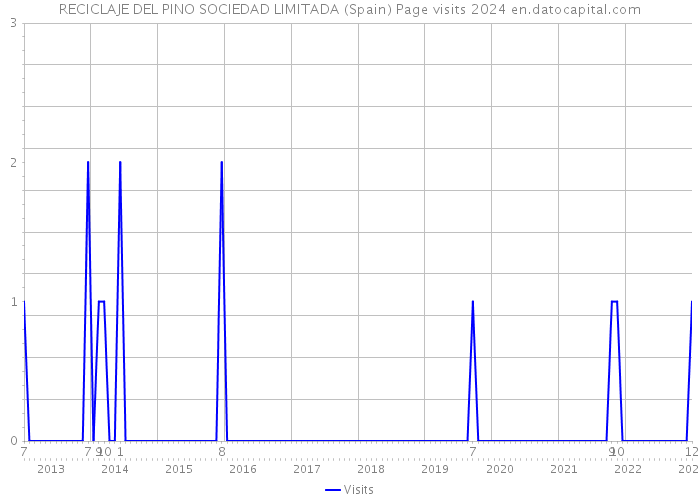 RECICLAJE DEL PINO SOCIEDAD LIMITADA (Spain) Page visits 2024 