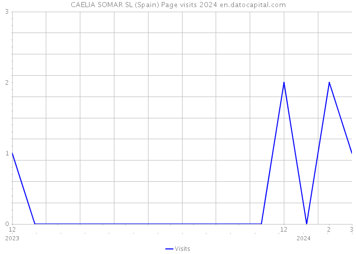 CAELIA SOMAR SL (Spain) Page visits 2024 