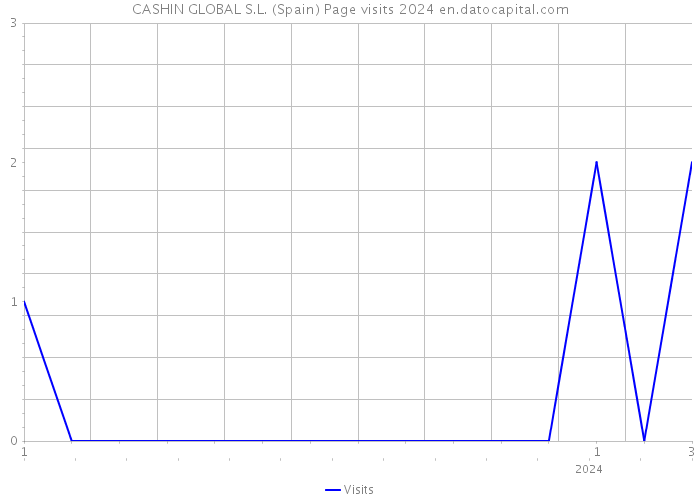 CASHIN GLOBAL S.L. (Spain) Page visits 2024 