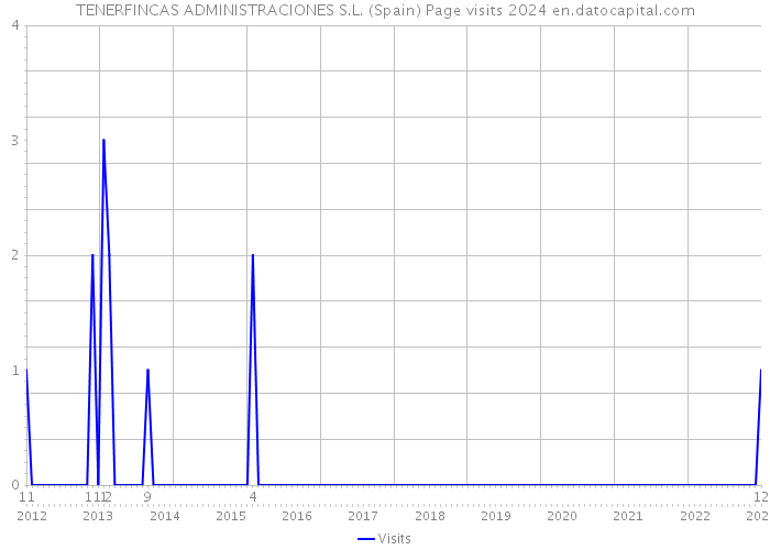 TENERFINCAS ADMINISTRACIONES S.L. (Spain) Page visits 2024 
