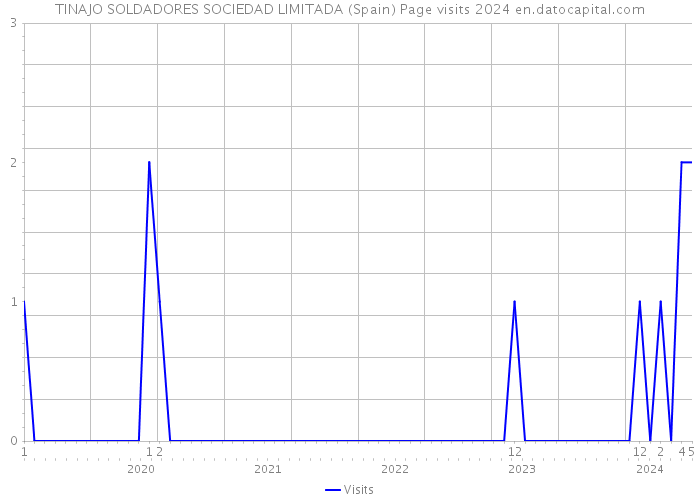 TINAJO SOLDADORES SOCIEDAD LIMITADA (Spain) Page visits 2024 
