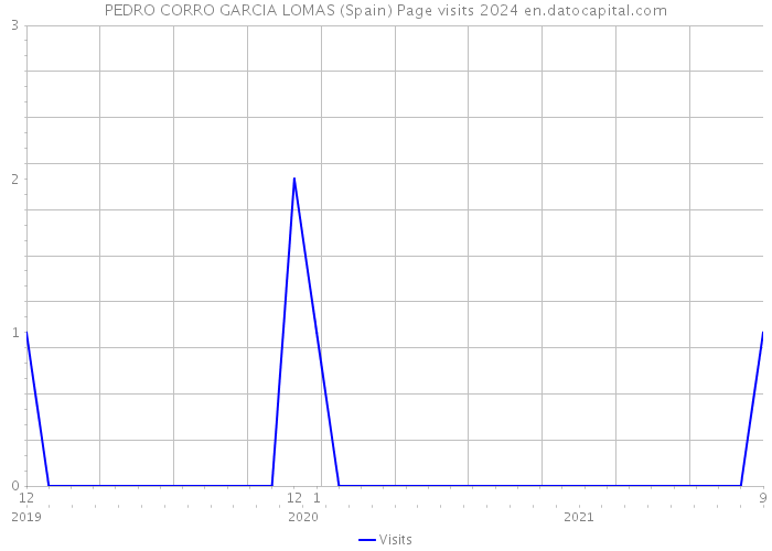 PEDRO CORRO GARCIA LOMAS (Spain) Page visits 2024 