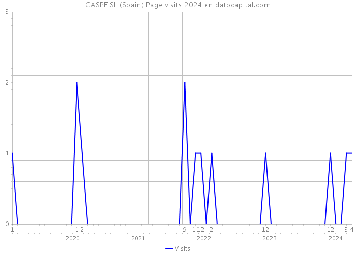 CASPE SL (Spain) Page visits 2024 