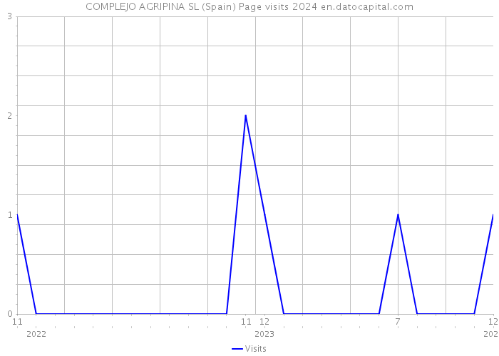 COMPLEJO AGRIPINA SL (Spain) Page visits 2024 