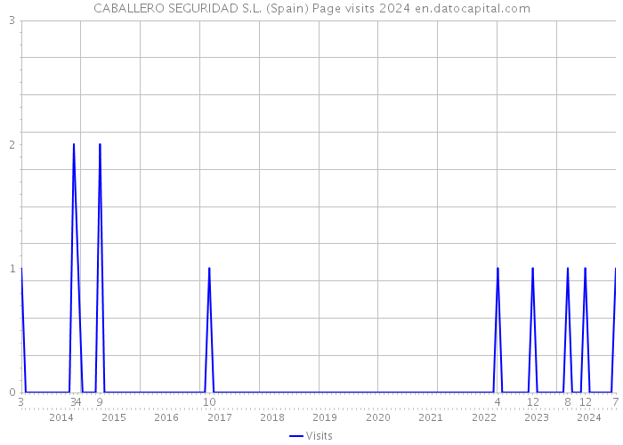 CABALLERO SEGURIDAD S.L. (Spain) Page visits 2024 