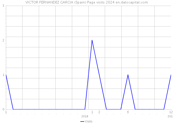 VICTOR FERNANDEZ GARCIA (Spain) Page visits 2024 