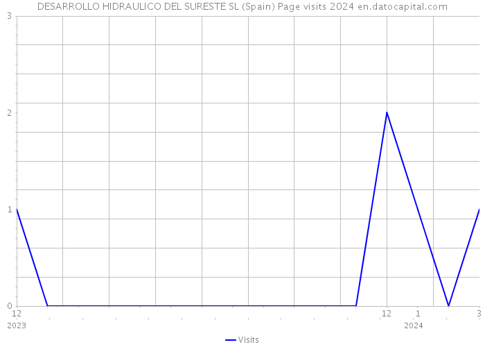 DESARROLLO HIDRAULICO DEL SURESTE SL (Spain) Page visits 2024 
