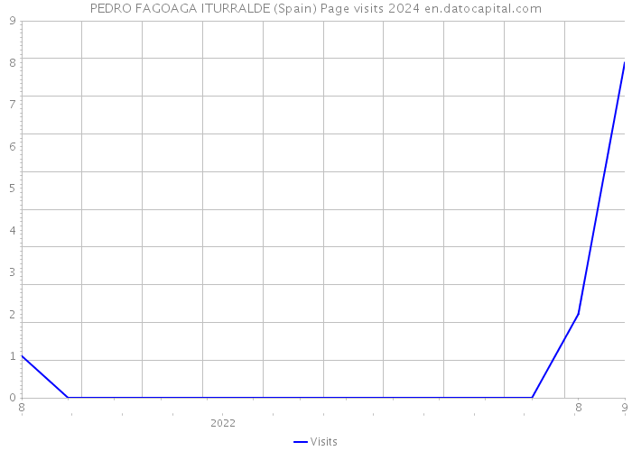 PEDRO FAGOAGA ITURRALDE (Spain) Page visits 2024 