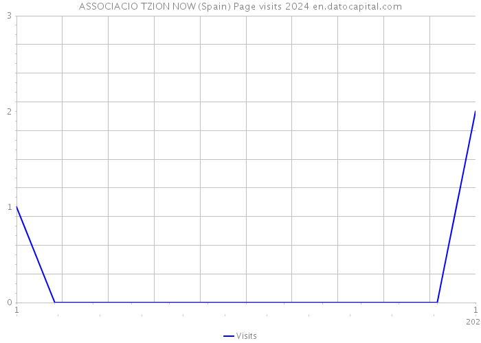ASSOCIACIO TZION NOW (Spain) Page visits 2024 