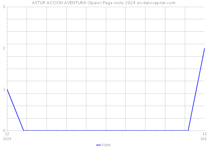 ASTUR ACCION AVENTURA (Spain) Page visits 2024 