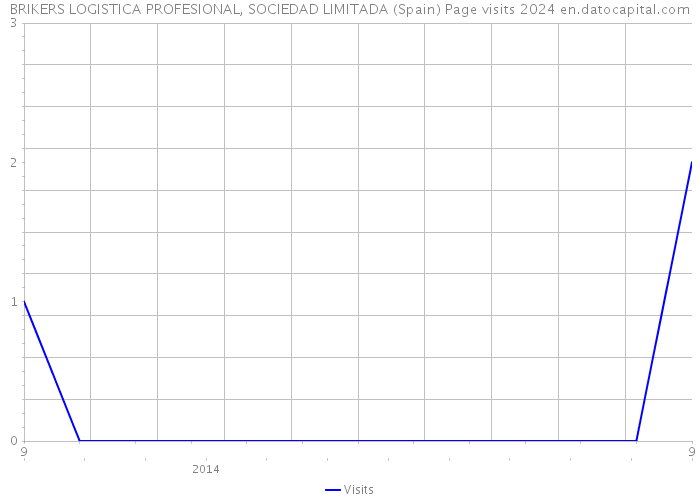 BRIKERS LOGISTICA PROFESIONAL, SOCIEDAD LIMITADA (Spain) Page visits 2024 