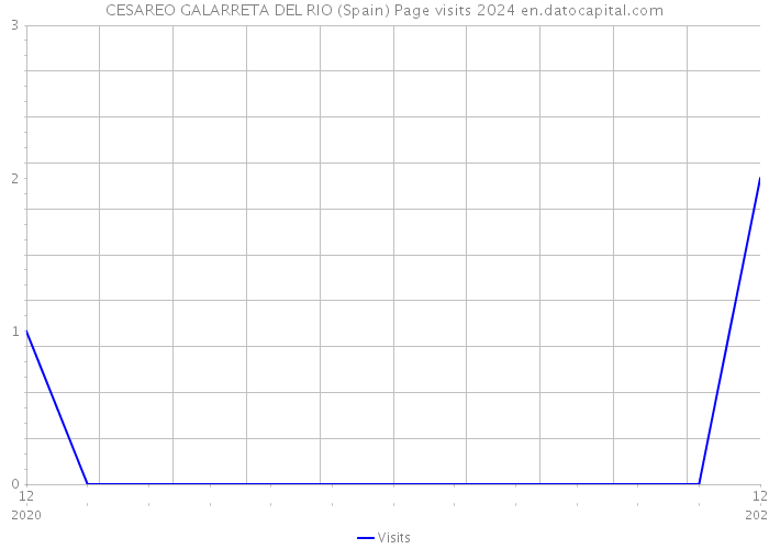 CESAREO GALARRETA DEL RIO (Spain) Page visits 2024 